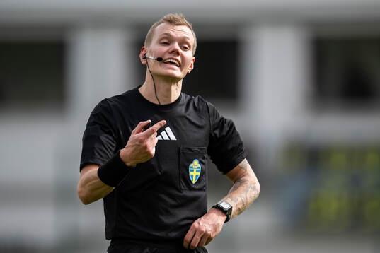 Domare Fredrik Alknäs