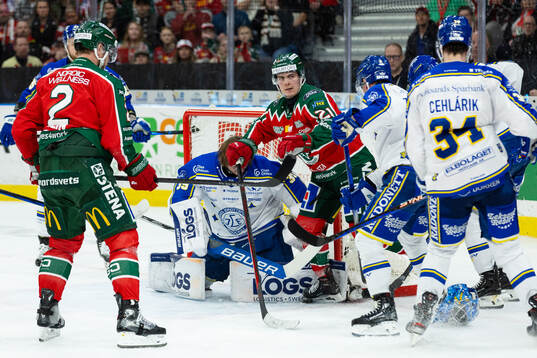 Leksands målvakt Filip Larsson tappar hjälmen