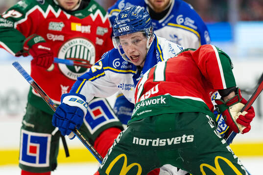 Leksands Lukas Vejdemo och Frölundas Nicklas Lasu