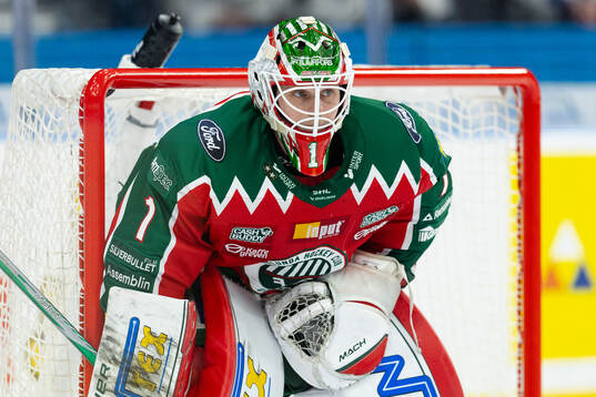 Frölundas målvakt Lars Johansson