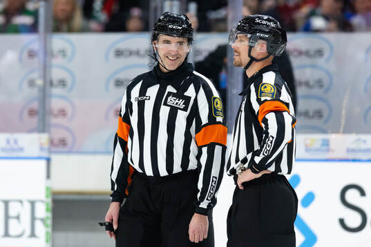 Domare Linus Öhlund och domare Andreas Harnebring