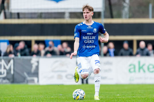 Trelleborgs Karl Wendt