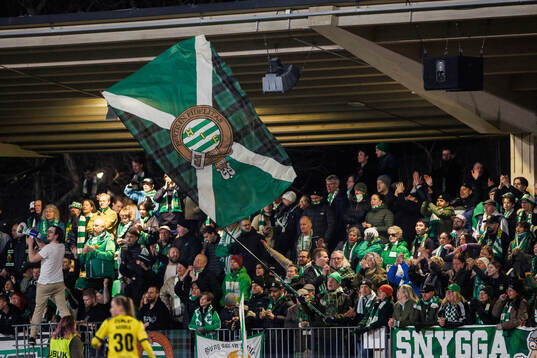 Hammarbys supportrar
