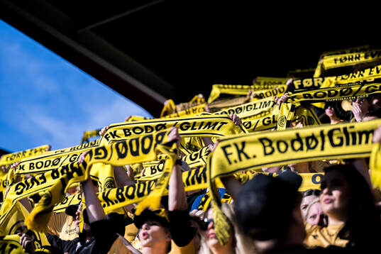 Spectators in the stands
