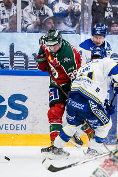 Frölundas Mikael Ruohomaa