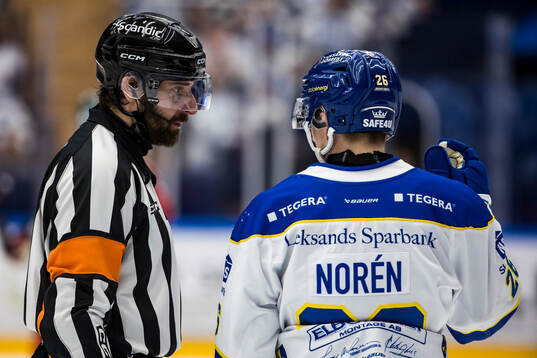 Domare Mikael Sjöqvist