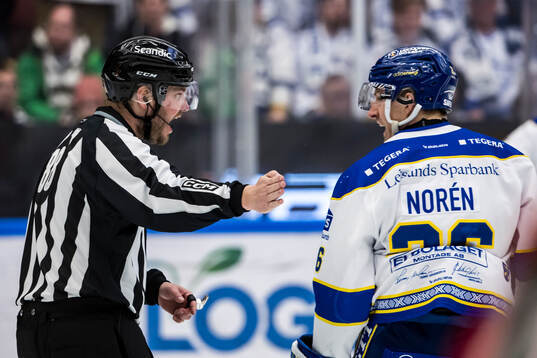 Linjedomare Daniel Persson