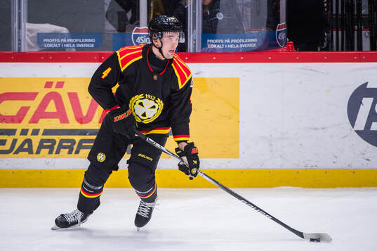 Brynäs Theo Lindstein