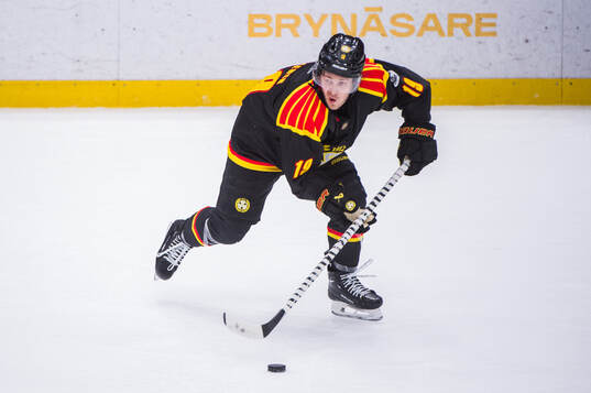 Brynäs Tyler Kelleher