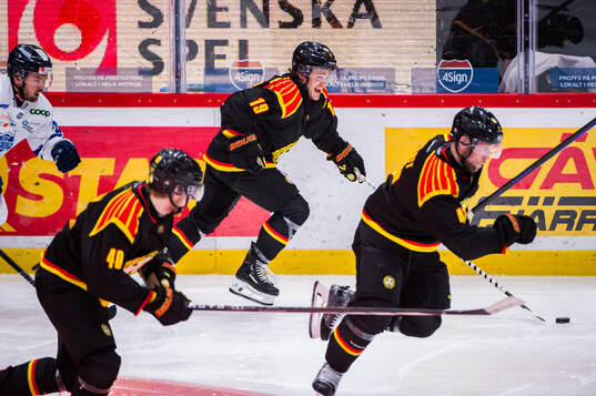 Brynäs Tyler Kelleher