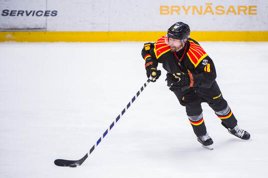 Brynäs Anton Rödin