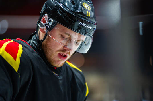 Brynäs Karlis Cukste