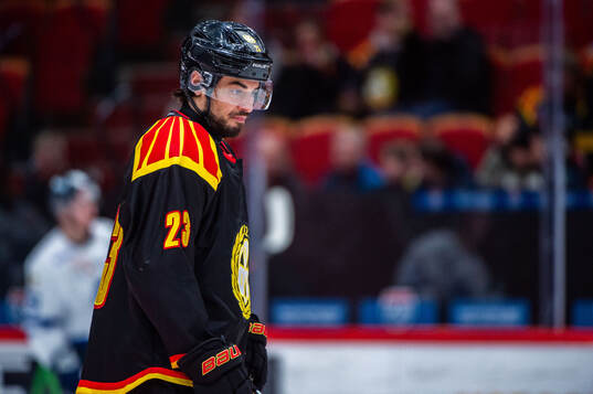 Brynäs Tyler Vesel