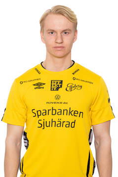 Felix Älverdal