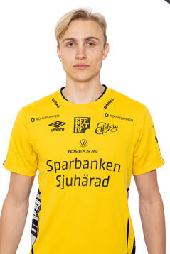 Leo Östman