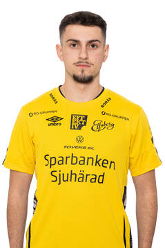 Hari Bajraktarevic