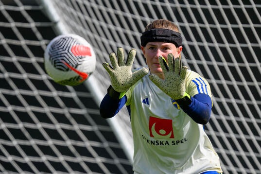Goalkeeper Tove Enblom of Sweden of the Swedish women's