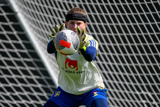 Goalkeeper Tove Enblom of Sweden of the Swedish women's