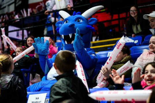A mascot