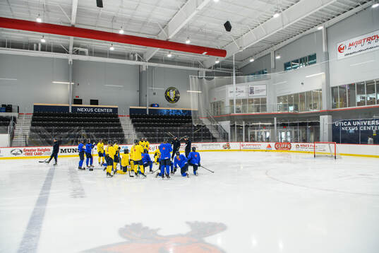 Players of Sweden at a practice session
