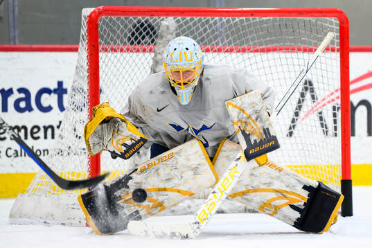 Goaltender Tindra Holm of Sweden at a practice session