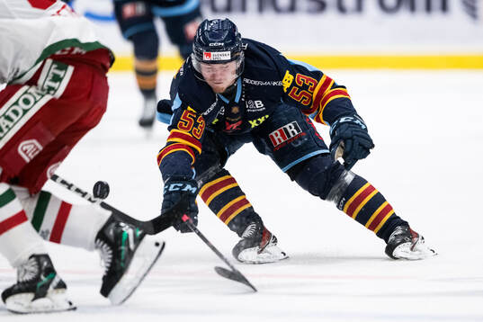 Djurgårdens David Blomgren