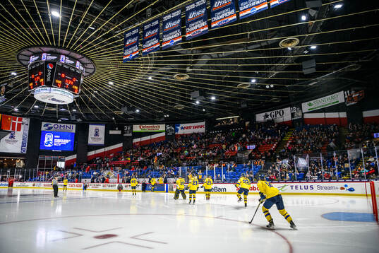 Players of Sweden enters the ice