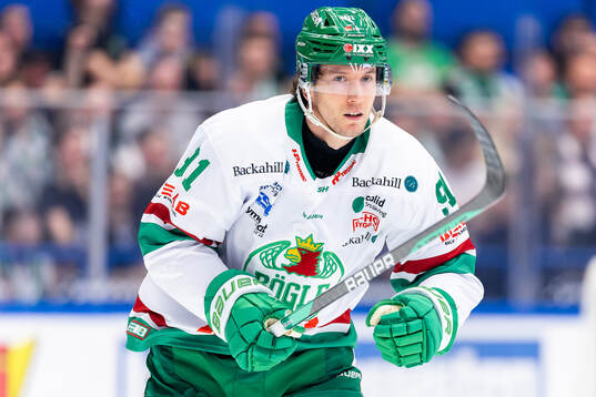 Rögles Adam Tambellini