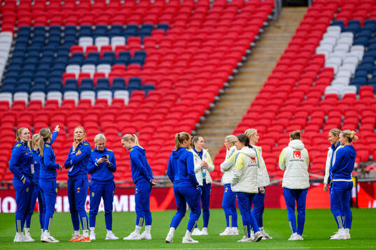 Players of Sweden walk the pitch