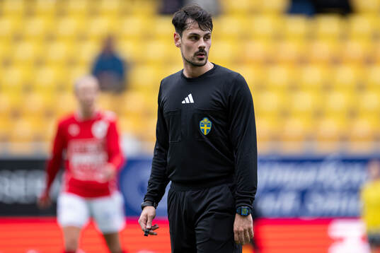 Domare Ajnur Mundzic