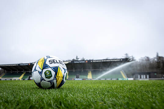 En fotboll