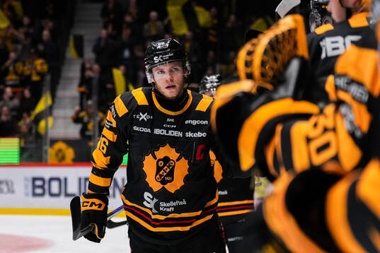 Skellefteås Rickard Hugg jublar