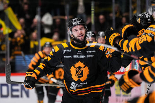 Skellefteås Martins Dzierkals jublar