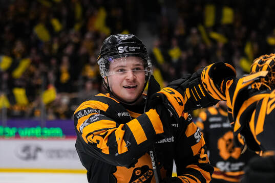Bläddra bland fler bilder av Ishockey, SHL, Skellefteå - Frölunda