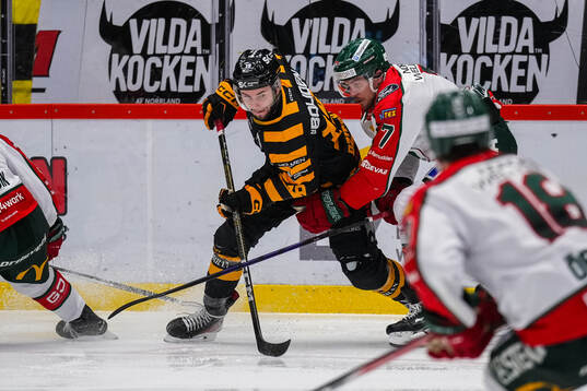 Skellefteås Martins Dzierkals och Frölundas Henrik