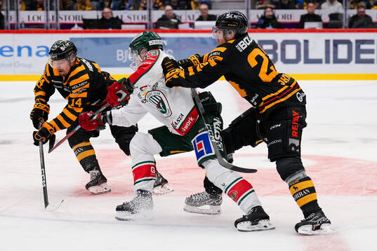 Skellefteås Andreas Johnson och Jonathan Johnson