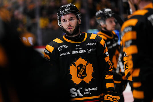 Skellefteås Martins Dzierkals