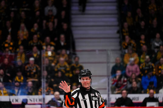 Domare Mikael Nord