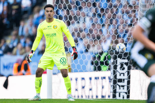 Hammarbys målvakt Oliver Dovin