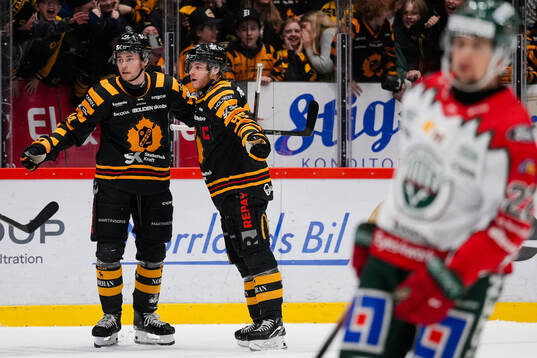 Skellefteås Elias Salomonsson och Rickard Hugg jublar