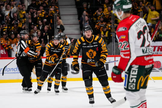 Skellefteås Rickard Hugg