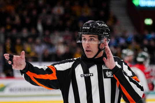 Domare Linus Öhlund