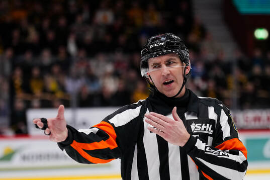 Domare Linus Öhlund