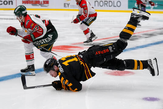 Skellefteås Max Lindholm