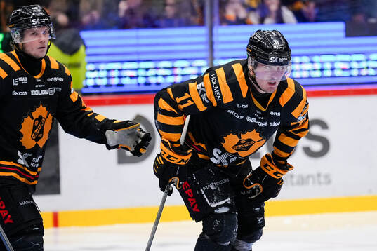 Skellefteås Max Lindholm