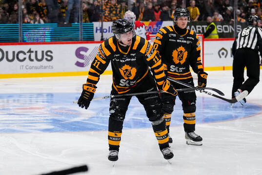 Skellefteås Max Lindholm
