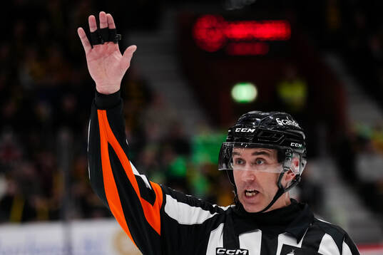 Domare Linus Öhlund