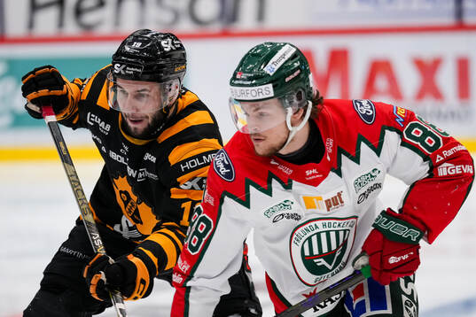 Skellefteås Martins Dzierkals och Frölundas Malte