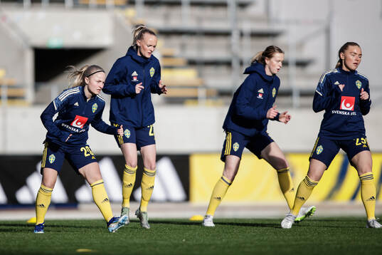 Players of Sweden