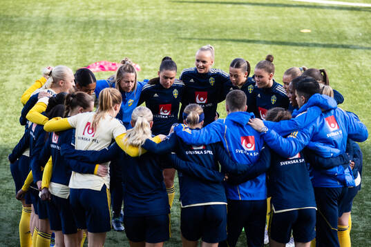 Players of Sweden